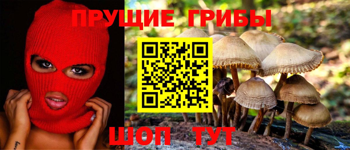Сунжа  Галлюциногенные грибы ЛСД  продажа наркотиков  Вход с VPN 